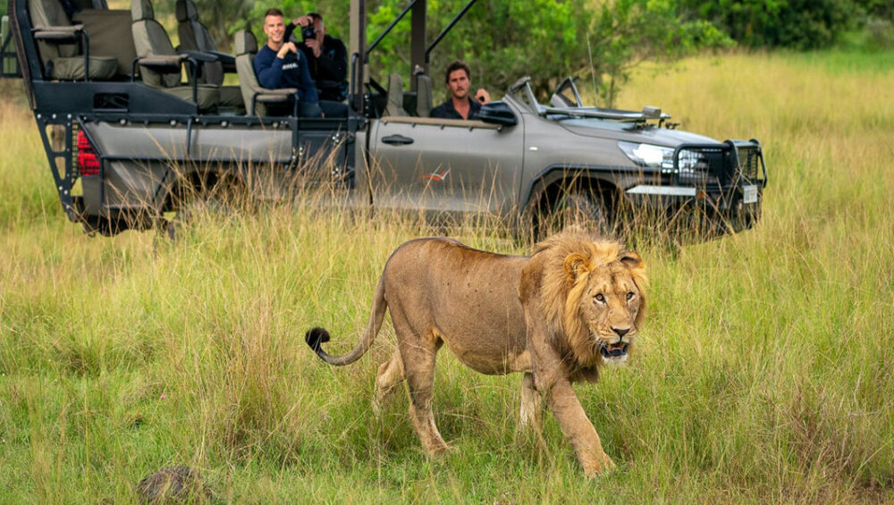 10-day Rwanda Safari and Discovery Journeys. Tour to Akagera National Park. Rwanda Safari
