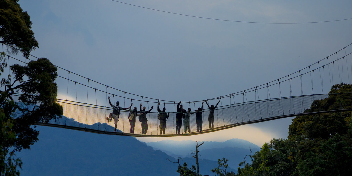 Nyungwe Canopy walk experience. Discovery Journeys