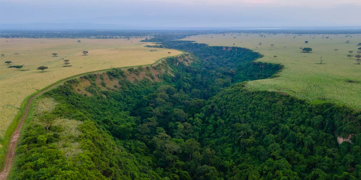 Kyambura Gorge in Queen Elizabeth National Park