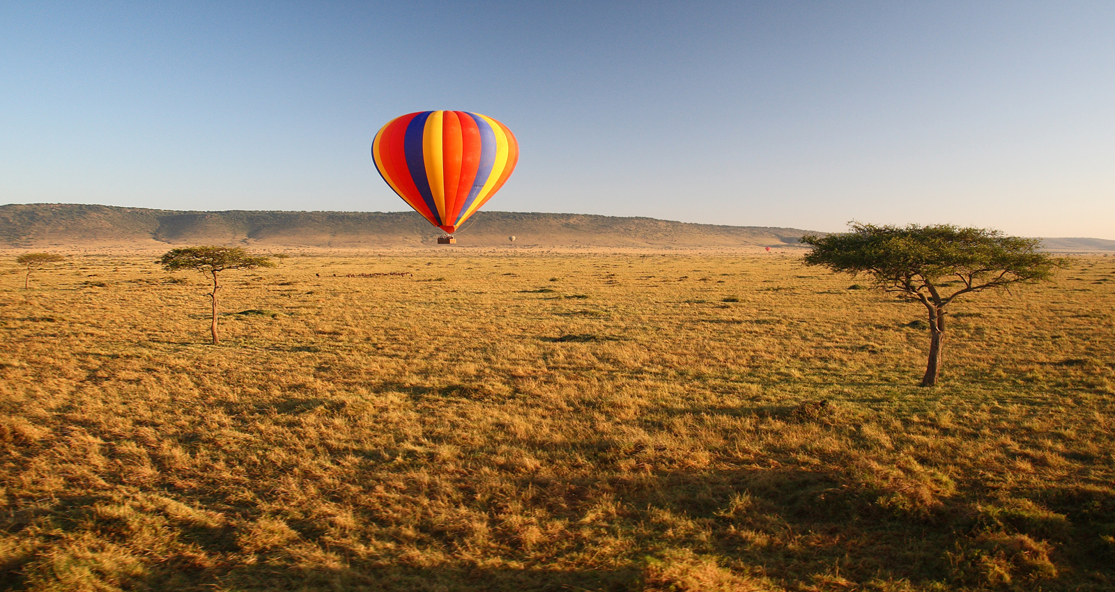 The Best Of Masai Mara Safari Adventures - Discovery Journeys