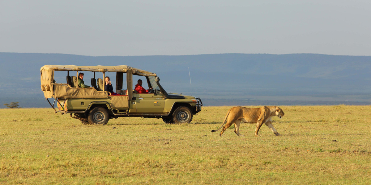 10-Day Kenya safari. Discovery Journeys