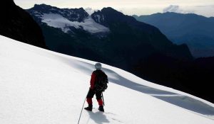 Rwenzori Mountains National Park. Discovery Journeys