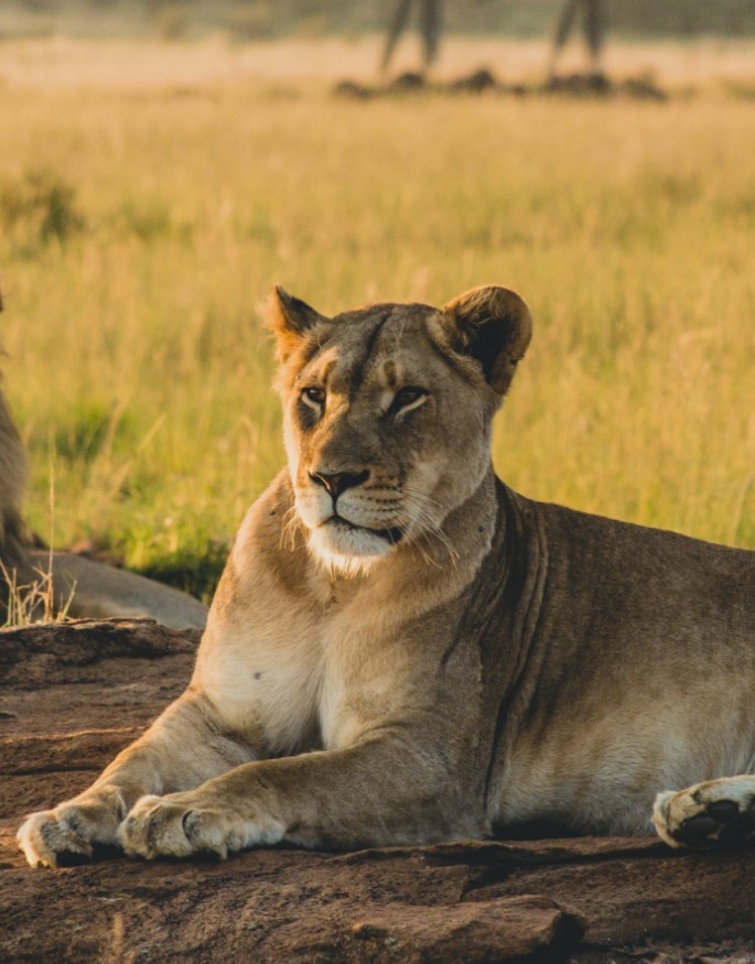 Tanzania