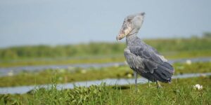 Discovery Journeys Day Trips