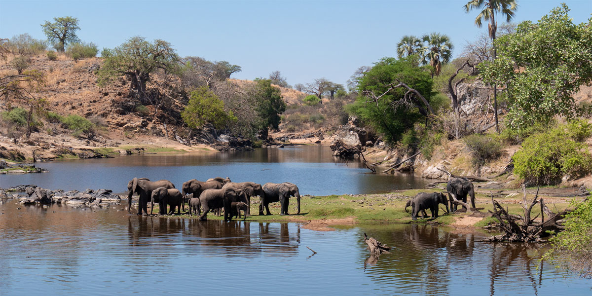 Tanzania Photography Safari with Discovery Journeys