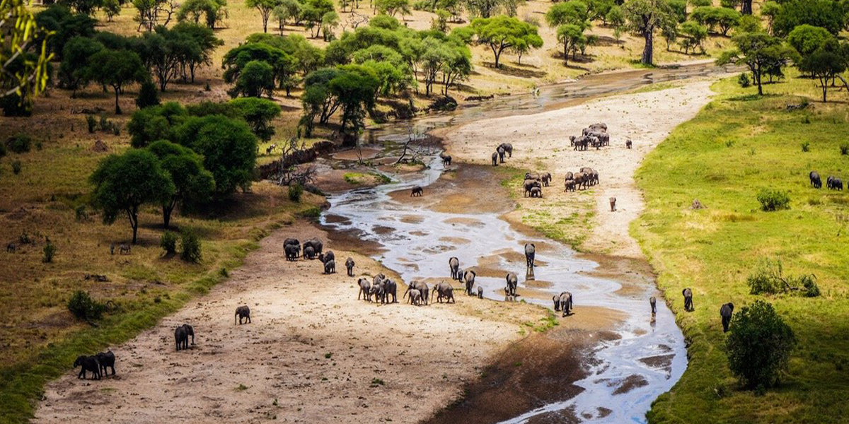 Tarangire National Park Adventures. Discovery Journeys. 9-day Tanzania Safari