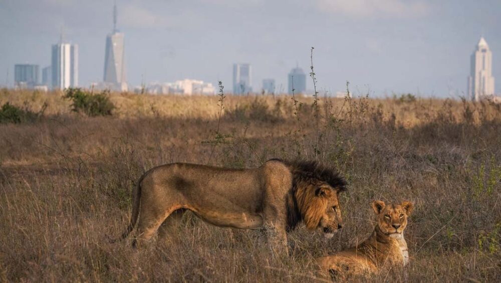 Magical Kenya Expo 2023. Courtesy Photo