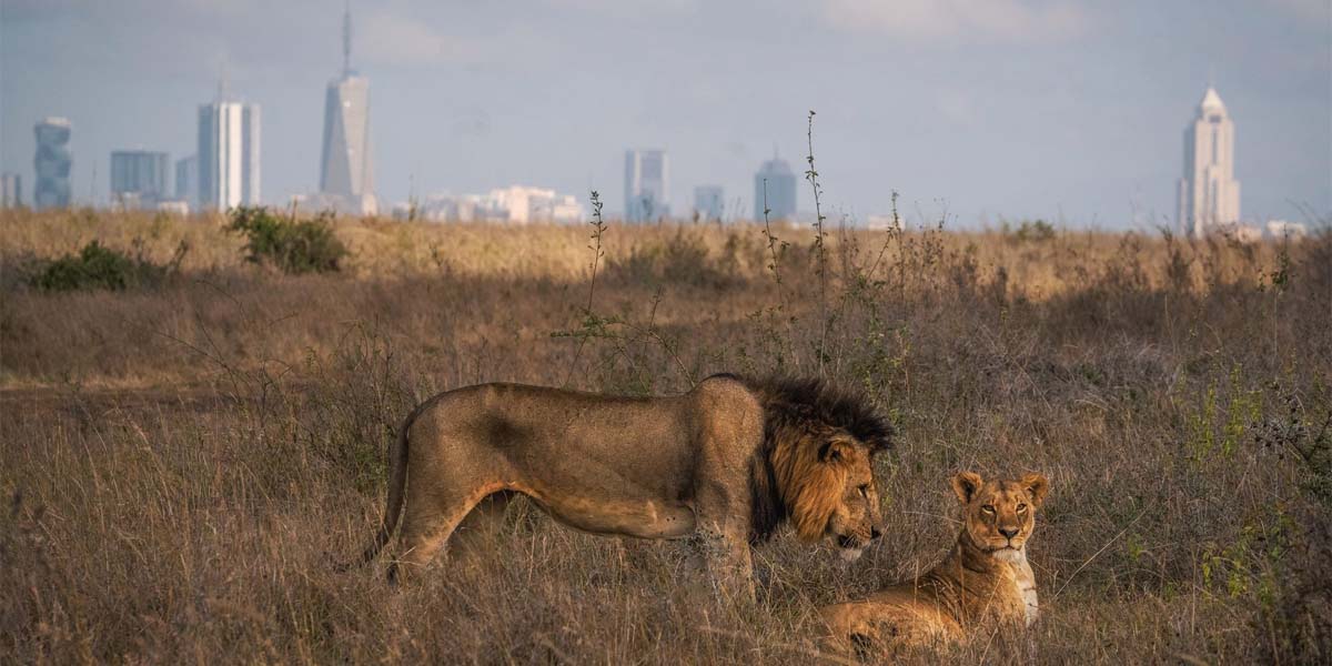 Magical Kenya Expo 2023. Courtesy Photo