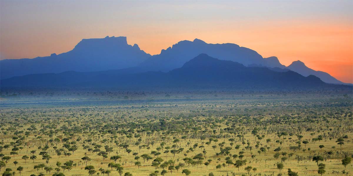 Pian Upe Wildlife Reserve. Courtesy Photo