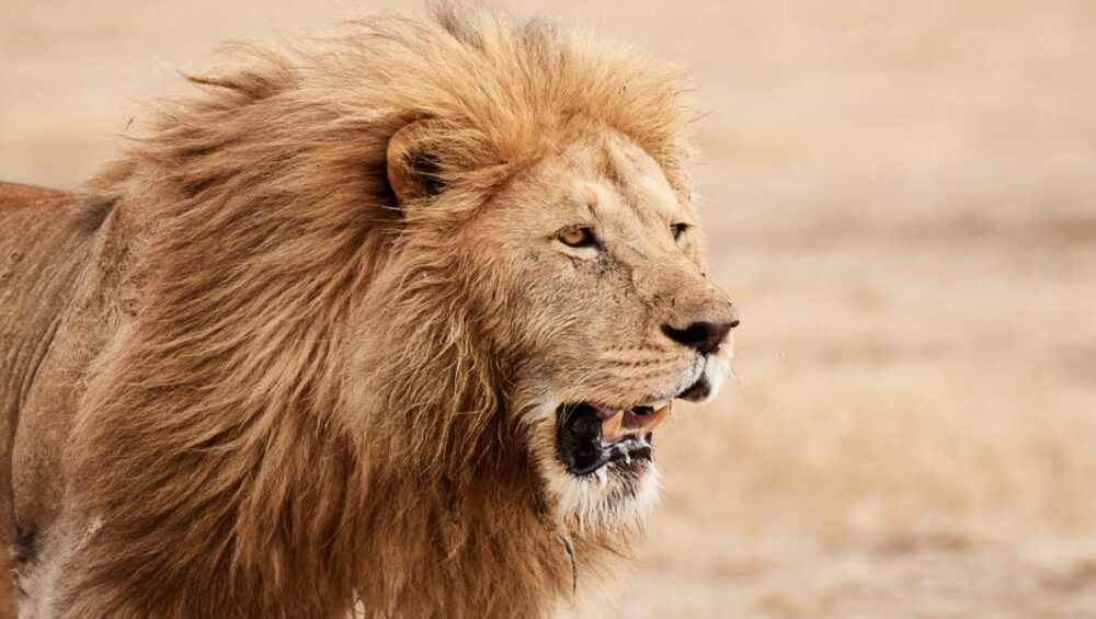 Must Visit 2024 Tanzania Tour Destinations