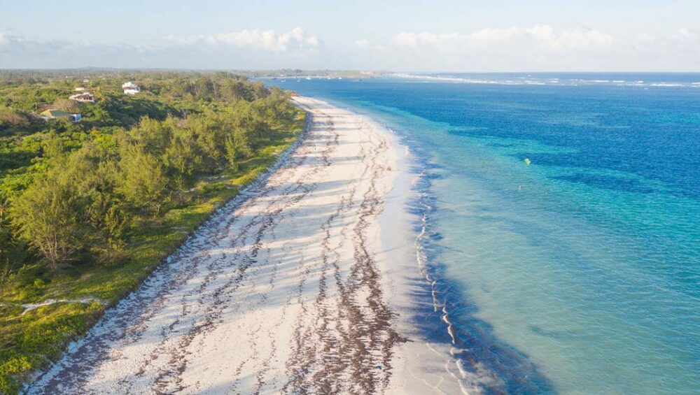 Kenya Coastal Tour adventures and safari. Discovery Journeys. 7-Day Kenya Wildlife