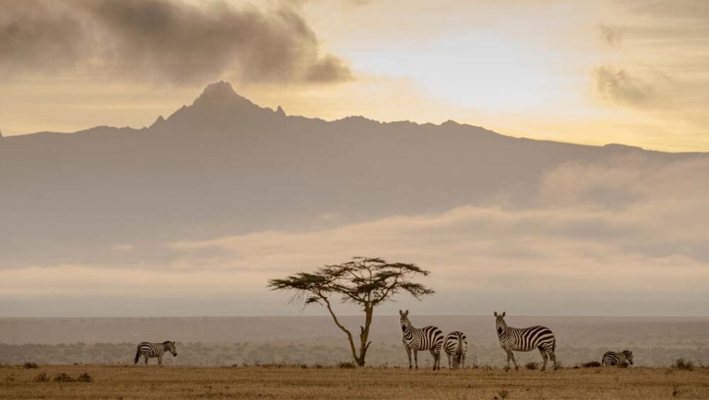 Northern Kenya Safari Destinations. Discovery Journeys