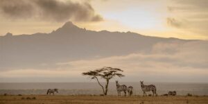 Northern Kenya Safari Destinations. Discovery Journeys