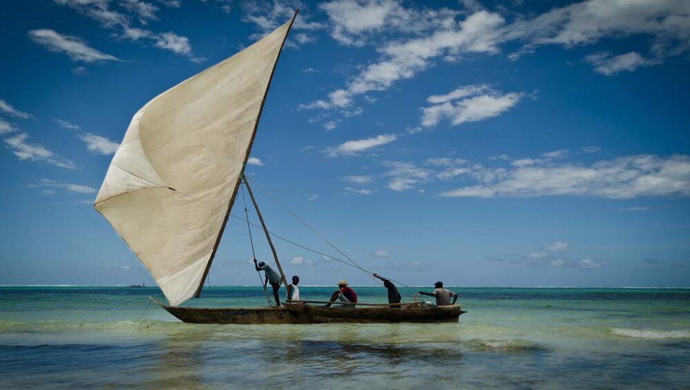 Adventurous Tanzania Safari Journeys to be Part of