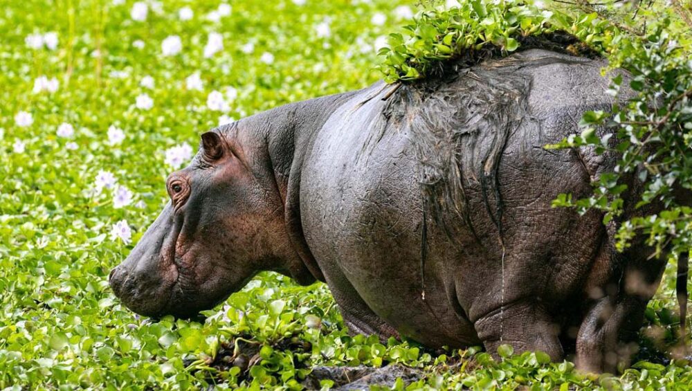 5 Best Rwanda Day Trips from Kigali