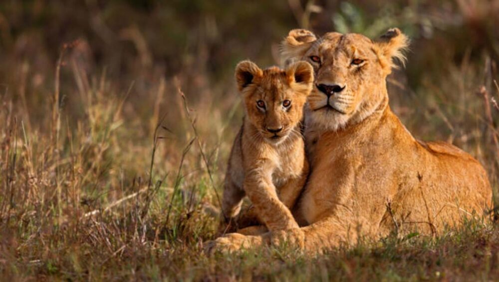 Tanzania Outdoor Tour adventures. Courtesy Photo