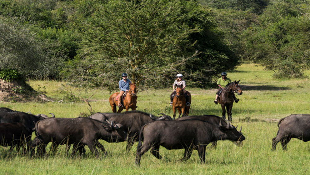 5 Best Uganda Family Safari Tours