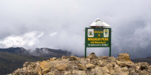 Mount Elgon Tour Experiences and Discovery Journeys