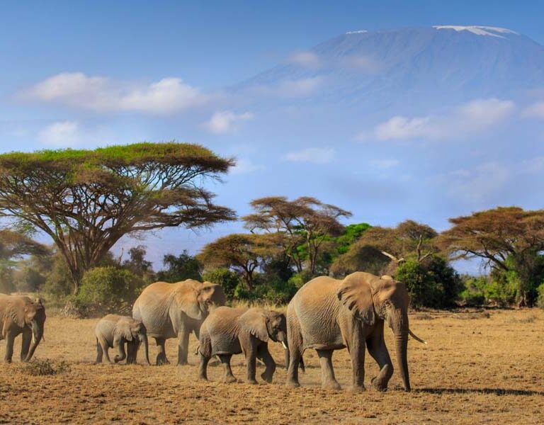 Amboseli Tour Adventures. Courtesy Photo. 6-Day Kenya Safari