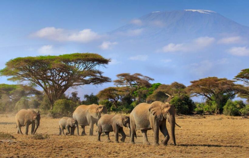 6-Day Kenya Safari