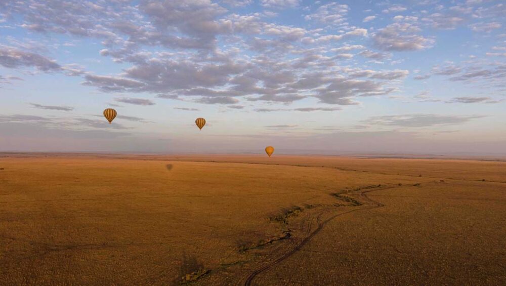 The best of an 8-day Magical Kenya safari