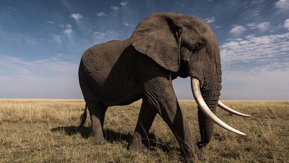 Outdoor Kenya Tour Adventures To Be Part Of. Courtesy Photo