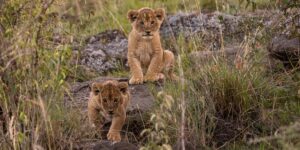 Planning Your Kenya Tour Adventures! Discovery Journeys. Courtesy Photo