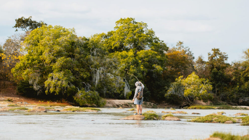 Tanzania Wildlife Safaris To Be Part of This June. Discovery Journeys