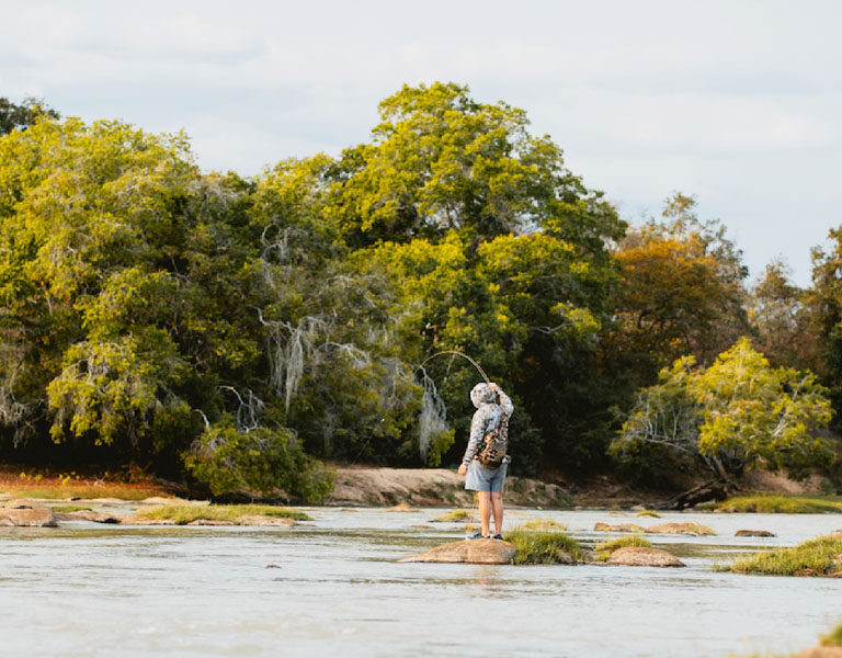 Tanzania Wildlife Safaris To Be Part of This June. Discovery Journeys