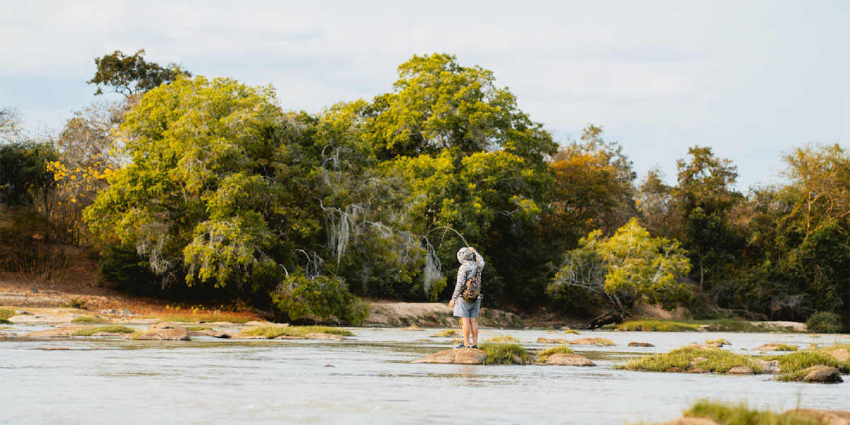 Tanzania Wildlife Safaris To Be Part of This June. Discovery Journeys