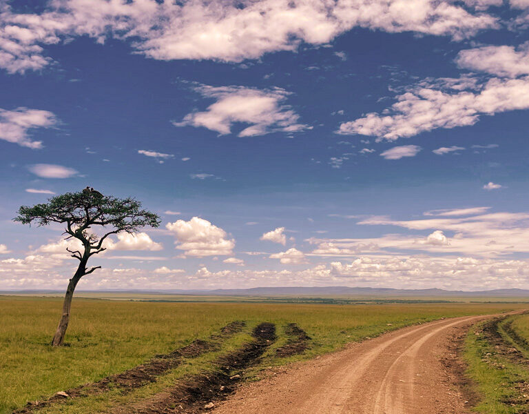 The Taste of Kenya Wildlife Adventures. Discovery Journeys