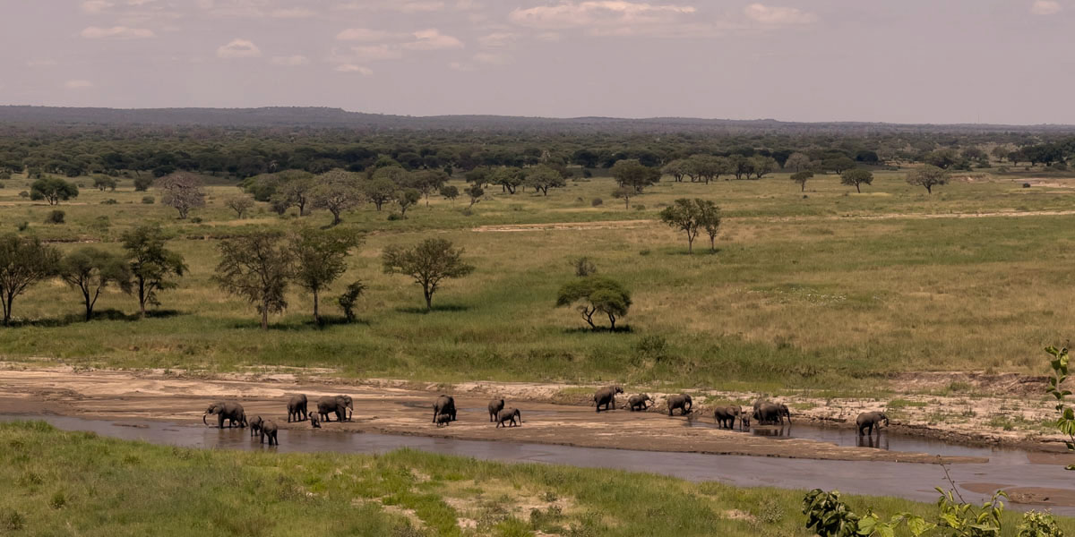 Best Northern Tanzania Safari Experiences Off-season. Discovery Journeys