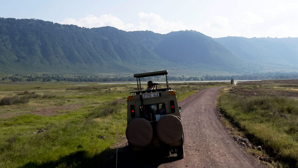 Memories Of A Tanzania Wildlife Tour. Discovery Journeys