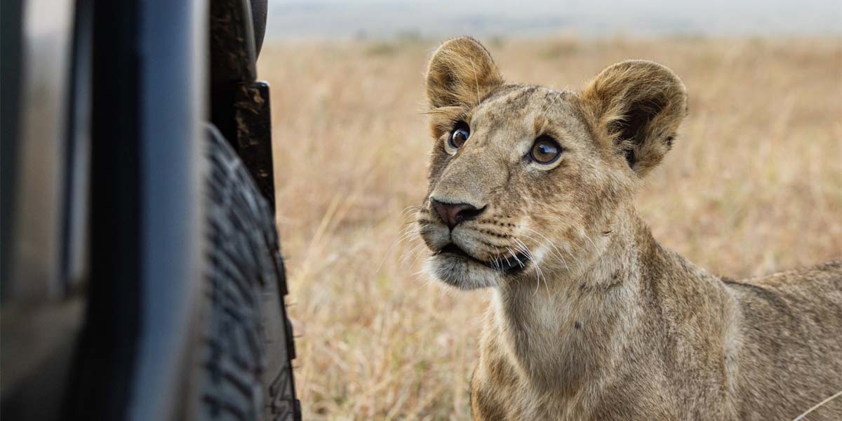 Kenya Photography Safari Destinations for Wildlife Enthusiasts. Discovery Journeys. Courtesy Photo