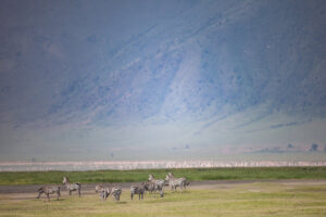 The Ngorongoro Crater. Discovery Journeys