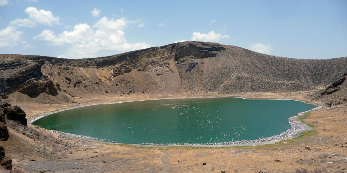 Lake Turkana National Parks Bird Life. Discovery Journeys