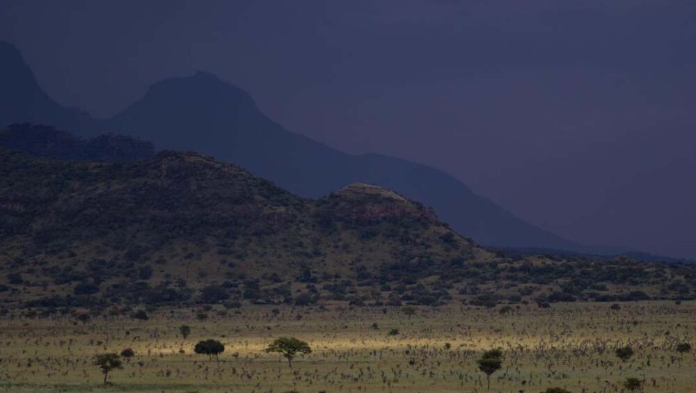 Pian Upe Game Reserve. Discovery Journeys