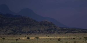 Pian Upe Game Reserve. Discovery Journeys