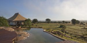 Best Tanzania Safari Camps for an Unforgettable Adventure. Discovery Journeys