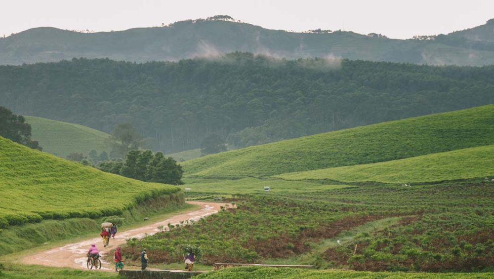 Congo Nile Trail Adventure in Rwanda. Discovery Journeys