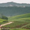 Congo Nile Trail Adventure in Rwanda. Discovery Journeys