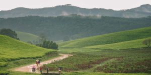 Congo Nile Trail Adventure in Rwanda. Discovery Journeys