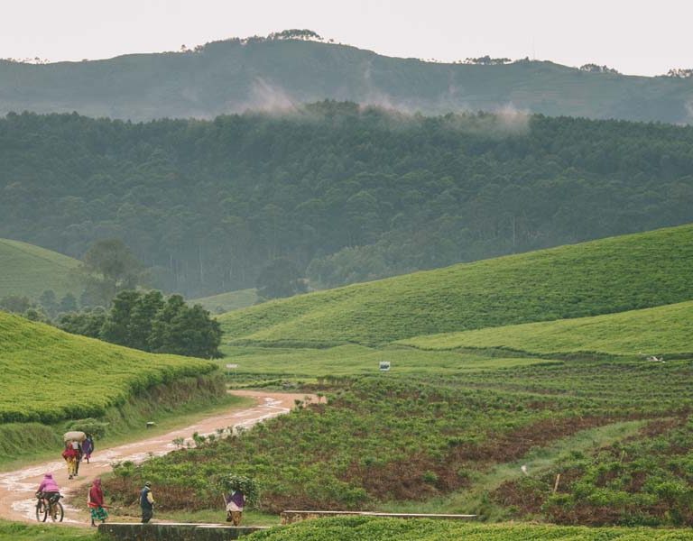 Congo Nile Trail Adventure in Rwanda. Discovery Journeys