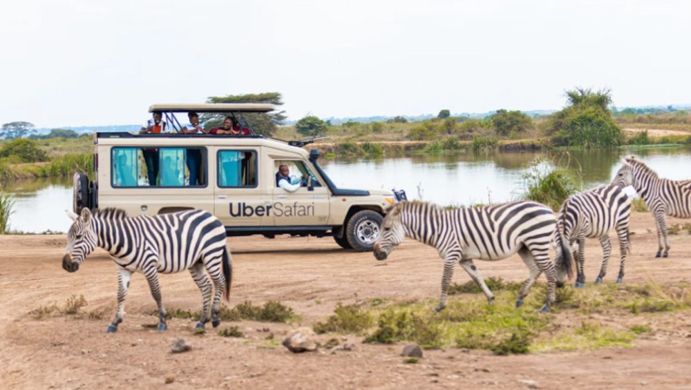 Exploring Kenya With Uber Safari. Discovery Journeys