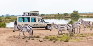 Exploring Kenya With Uber Safari. Discovery Journeys