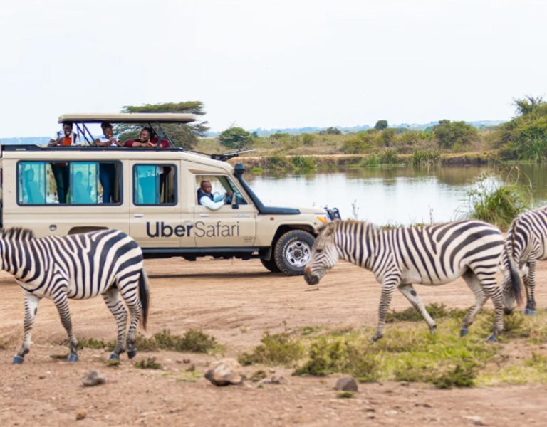 Exploring Kenya With Uber Safari. Discovery Journeys