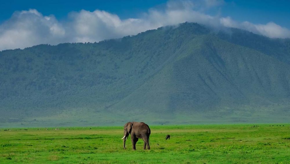 Top Active Tanzania Adventures for Avid Voyagers. Discovery Journeys