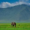 Top Active Tanzania Adventures for Avid Voyagers. Discovery Journeys