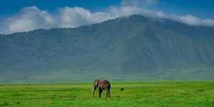 Top Active Tanzania Adventures for Avid Voyagers. Discovery Journeys