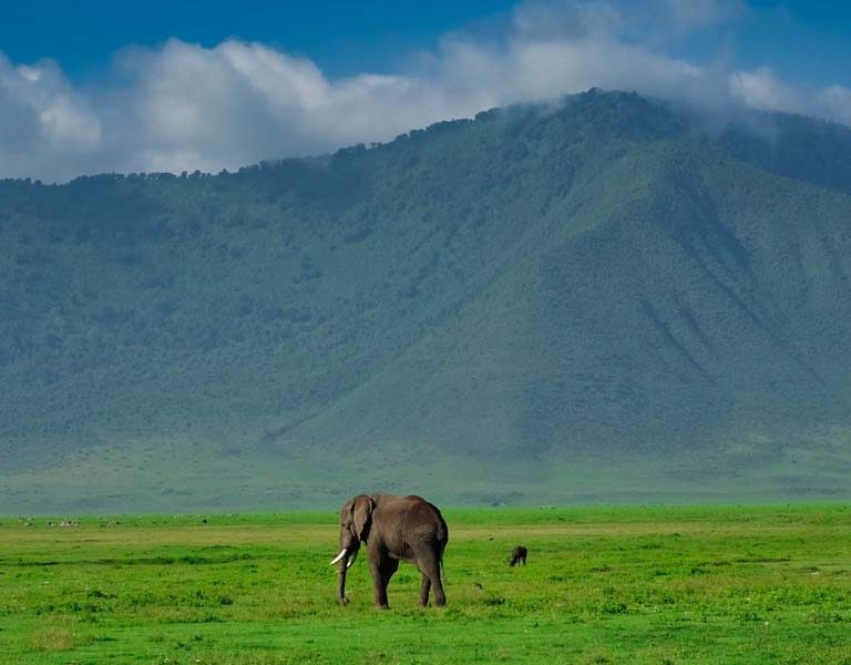 Top Active Tanzania Adventures for Avid Voyagers. Discovery Journeys